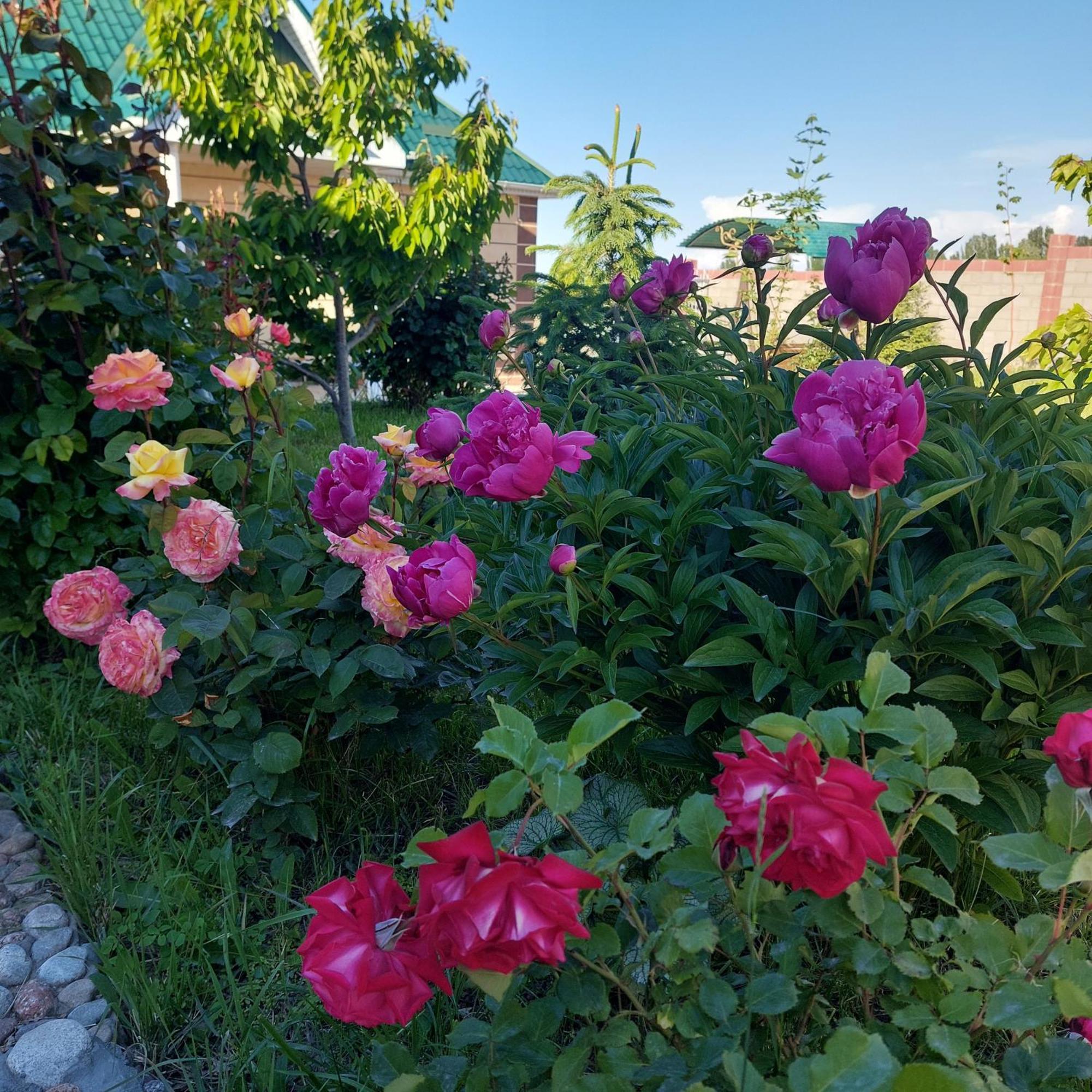 Svetlana Guest House Bokonbayevo Экстерьер фото