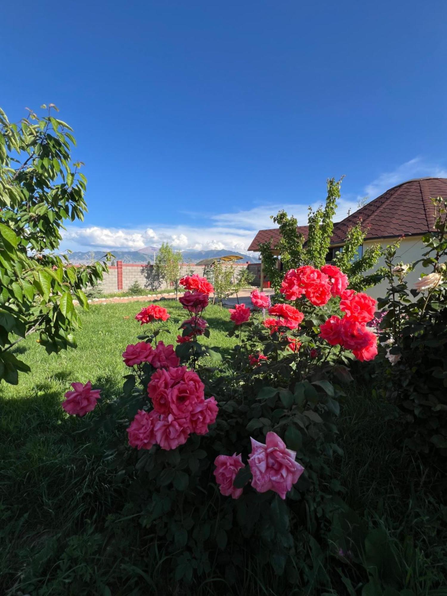 Svetlana Guest House Bokonbayevo Экстерьер фото
