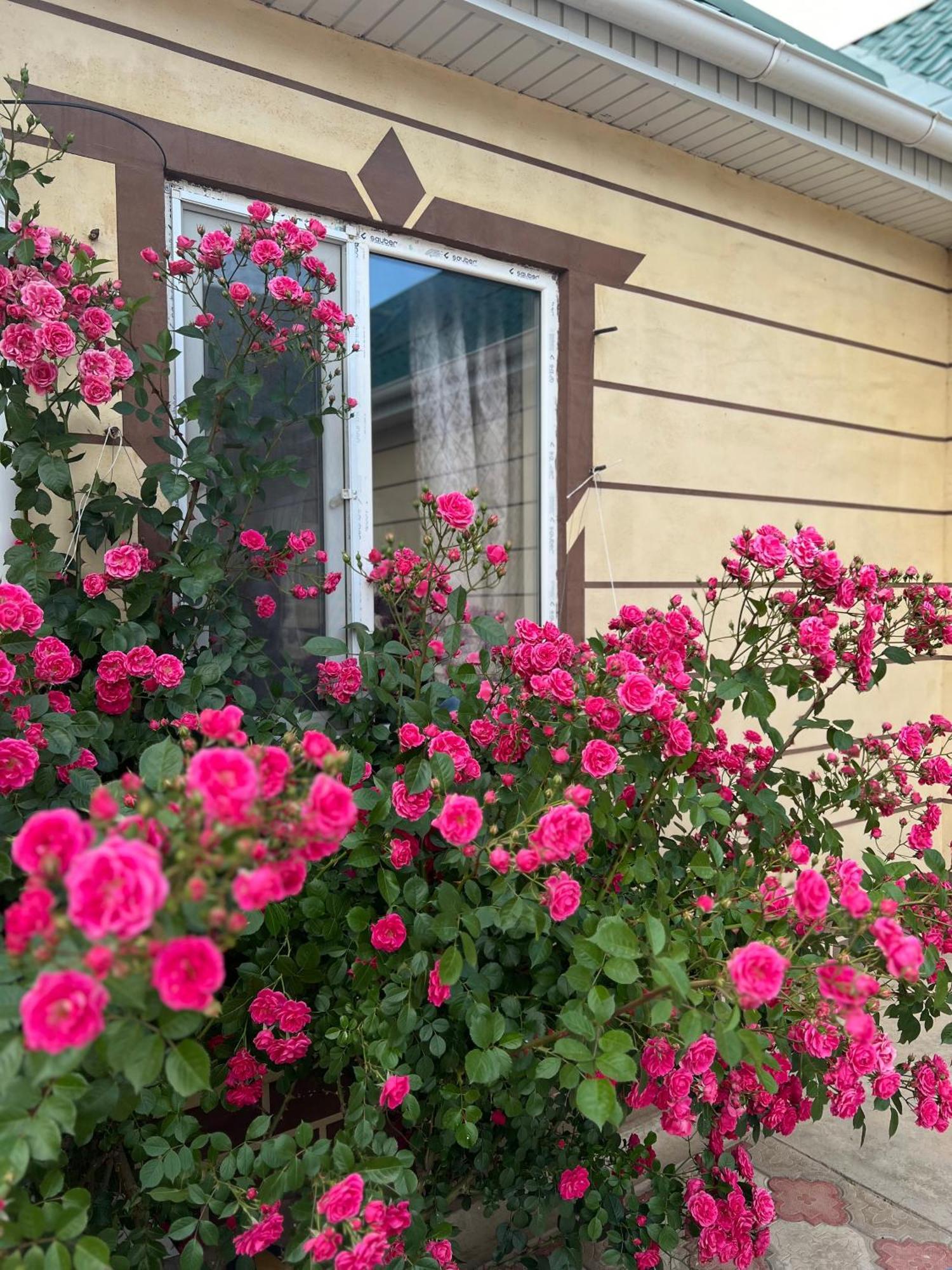 Svetlana Guest House Bokonbayevo Экстерьер фото